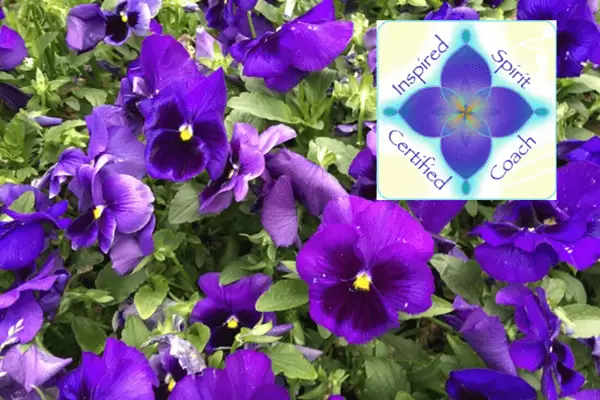 Services ISCA logo with purple pansies
